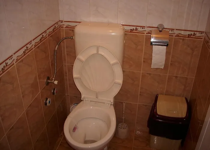 Georgievi Konukevi Ahyolu